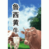 2012年肉牛ZUI新报价|西门塔尔