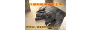 苏淮黑猪保种场供应苏淮猪淮猪苏太猪