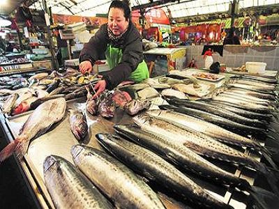 杭州市场海鲜价格涨价